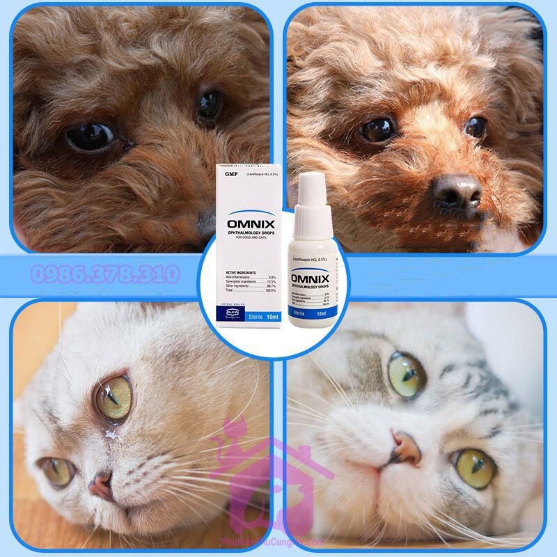 Nhỏ mắt đặc trị bệnh về mắt cho chó mèo Alkin OMNIX 10ml - Phụ kiện thú cưng Hà Nội