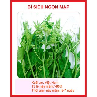 Hạt giống bí siêu ngọn gói 20 hạt