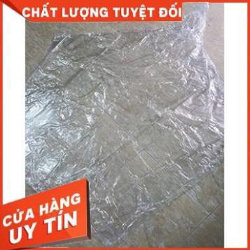 Áo mưa trong suốt loại dày (1 và 2 đầu) size To nhất