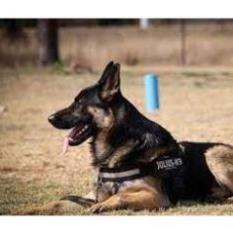 Dây đai người huấn luyện Police K9 chó chó từ 15-60kg