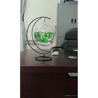 Bể cá mini cung trăng 20 ( tặng kèm phụ kiện trang trí )