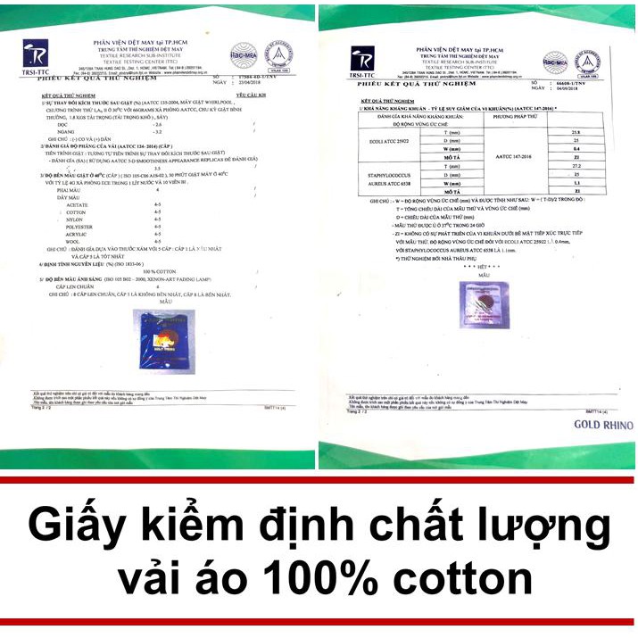 Áo thun nam trắng trơn Gold Rhino 100% cotton, áo phông nam xuất khẩu Nhật Bản QT1 | BigBuy360 - bigbuy360.vn