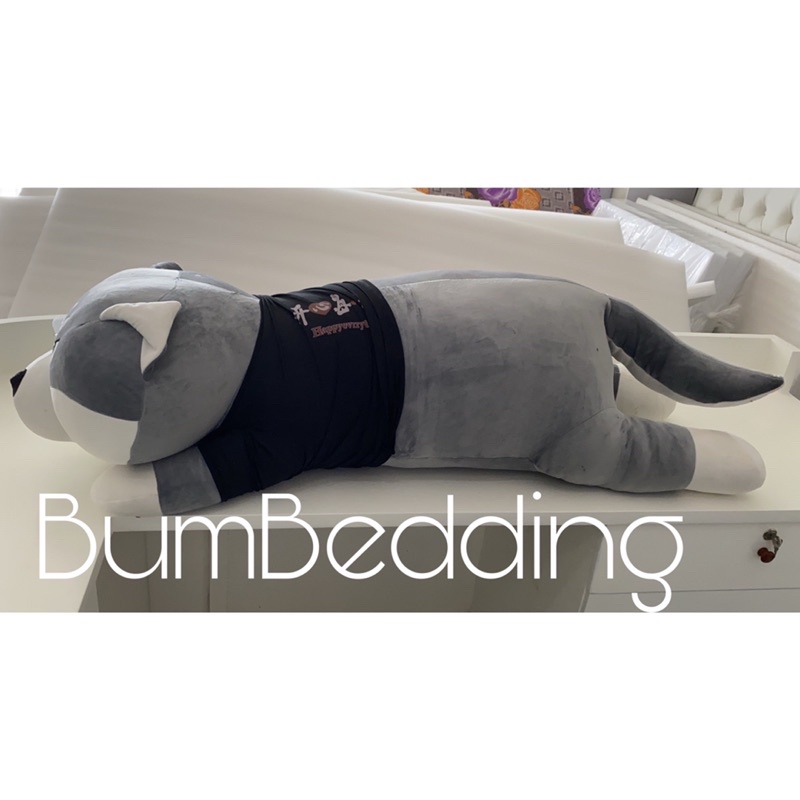 Thú bông Husky siêu đàn hồi_Hàng nhập khẩu[Ảnh thật bản quyền shop tự chụp]