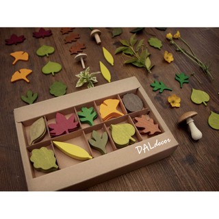 SET 30 lá cây tô màu sáng tạo cho bé