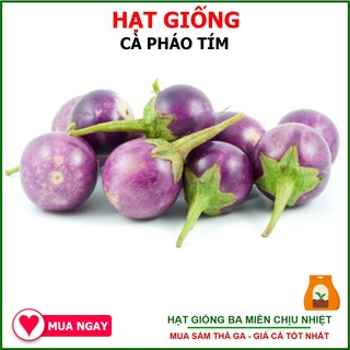 Hạt Giống Cà Pháo Tím Rạng Đông 0.5Gram