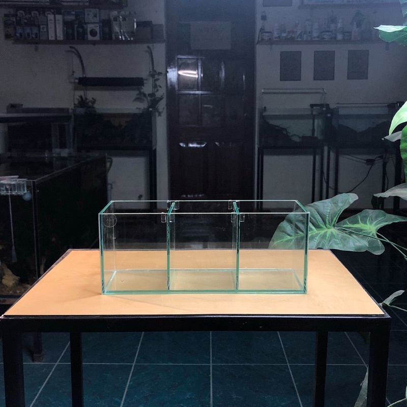 Bể cá betta D30xR10xC12cm 3 ngăn