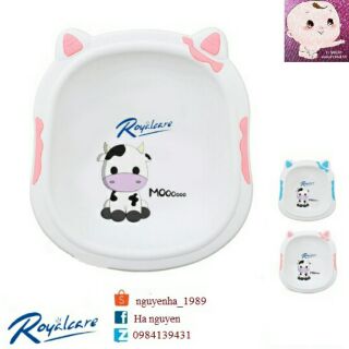 Chậu rửa mặt hình con bò sữa cao cấp royalcare