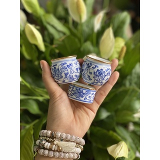 Cóng vẽ tay tàu tích hoa dây dùng cho chim chào mào