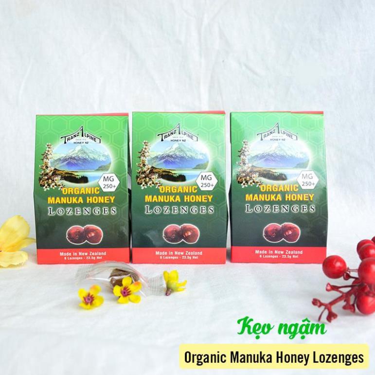 [Hỏa tốc] Kẹo Ngậm Giảm Ho TranzAIpineHoney Organic Manuka Honey Lozenges MG250+ (6 Viên)