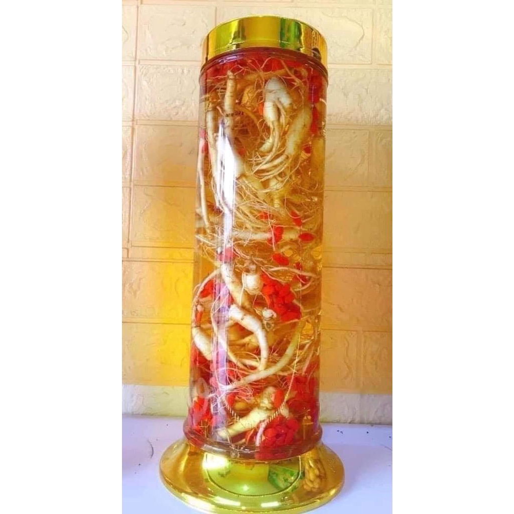 1Kg Sâm trường bạch mầm