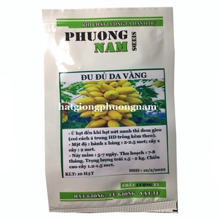 10H - HẠT GIỐNG ĐU ĐỦ VỎ VÀNG