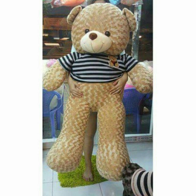 Gấu bông teddy lông xoắn hoa hồng khổ 1m4 cao 1m2 vải cao cấp