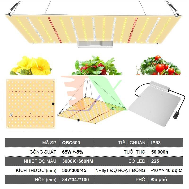 Đèn trồng cây Lượng tử QBC600, Led grow lights chip Samsung 600W, Đèn trồng rau trong nhà