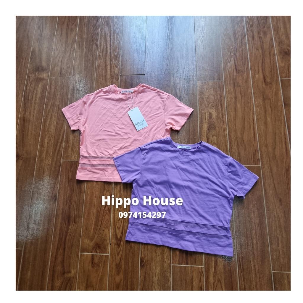 Áo phông Trơn Màu Cộc Tay Áo Thun cho Bé Gái Hippo House Size Đại 25 – 60kg Dáng Croptop Chất Cotton Mềm Mịn