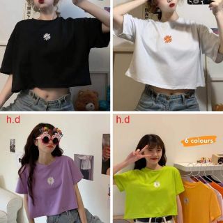 Áo crop top hoa cúc nhỏ form rộng_HD