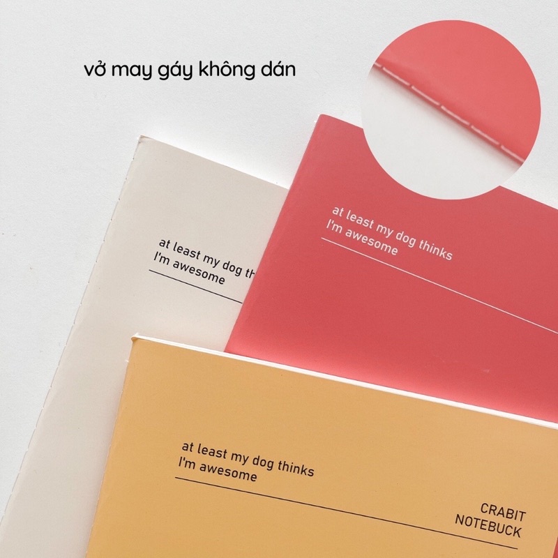 COMBO 3 SỔ B5 CARO LINED DOT PUPPY MÀU PASTEL XINH XẮN (ảnh thật) - Tiệm nhà Chun