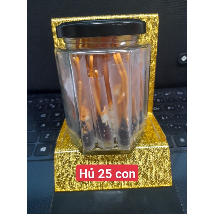 Đông Trùng Hạ Thảo Ký Chủ Nhộng (1 Con)