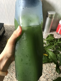 Bột cỏ non mầm lúa mạch