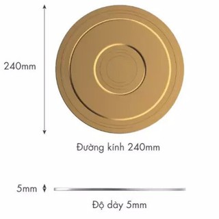 Đế Chuyển Nhiệt bếp từ Visions VS-IND-24LP/GD