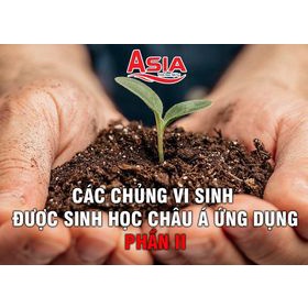 VUA ĐẠO ÔN - Xử lý chuyên đạo ôn lá, cổ bông