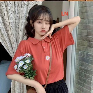 Áo polo hoa cúc nhỏ