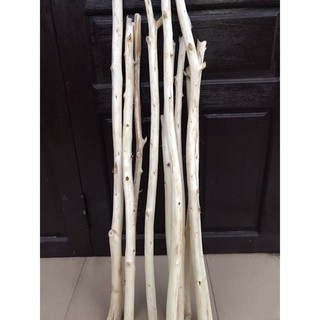 Combo 30 cành cây gỗ tràm 100 cm