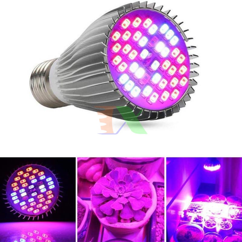 Đèn led trồng cây