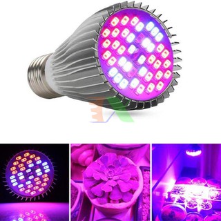 Led trồng cây 30W