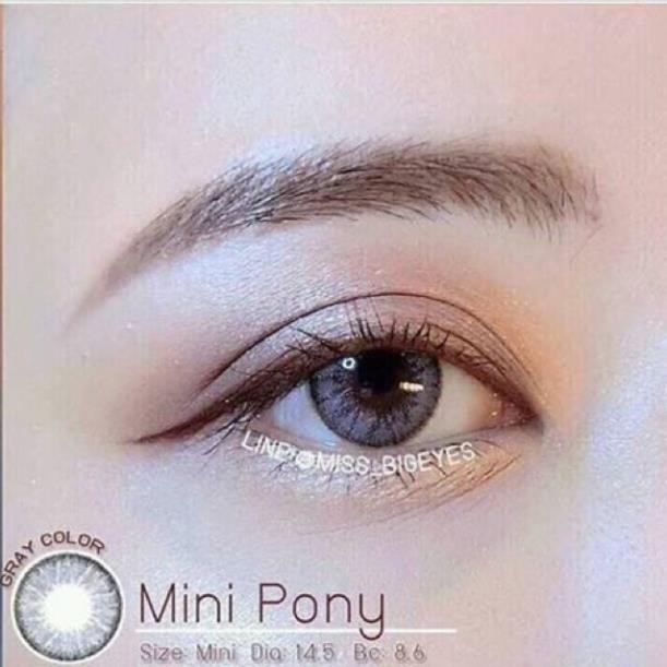 Lens Thái loại 1 (1 cặp)