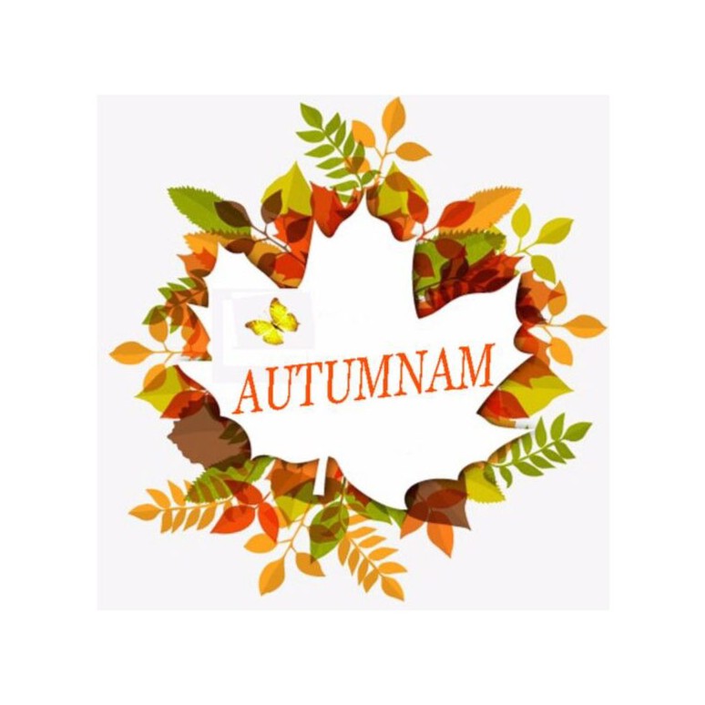autumnam.vn 