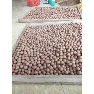 Hạt mắc ca sấy nứt vỏ Lâm Đồng Loại 1
