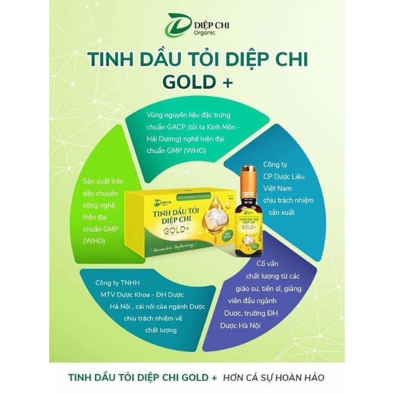 Dầu Tỏi Diệp Chi - Combo 10 lọ