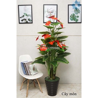 Cây Giả 🌺 Cây Môn Cao 1,5m