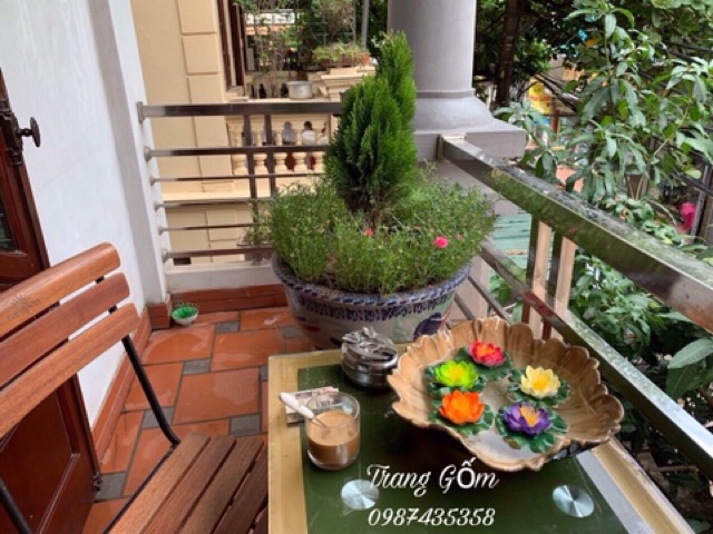 Hoa thả bát sen