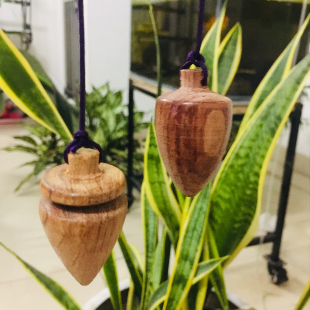 con lắc cảm xạ