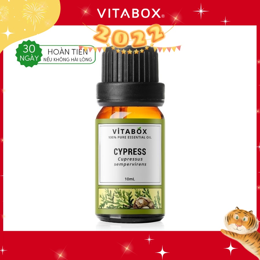 Tinh Dầu Trắc Bác Diệp Cypress VITABOX 100% thiên nhiên nguyên chất – pure essential oil