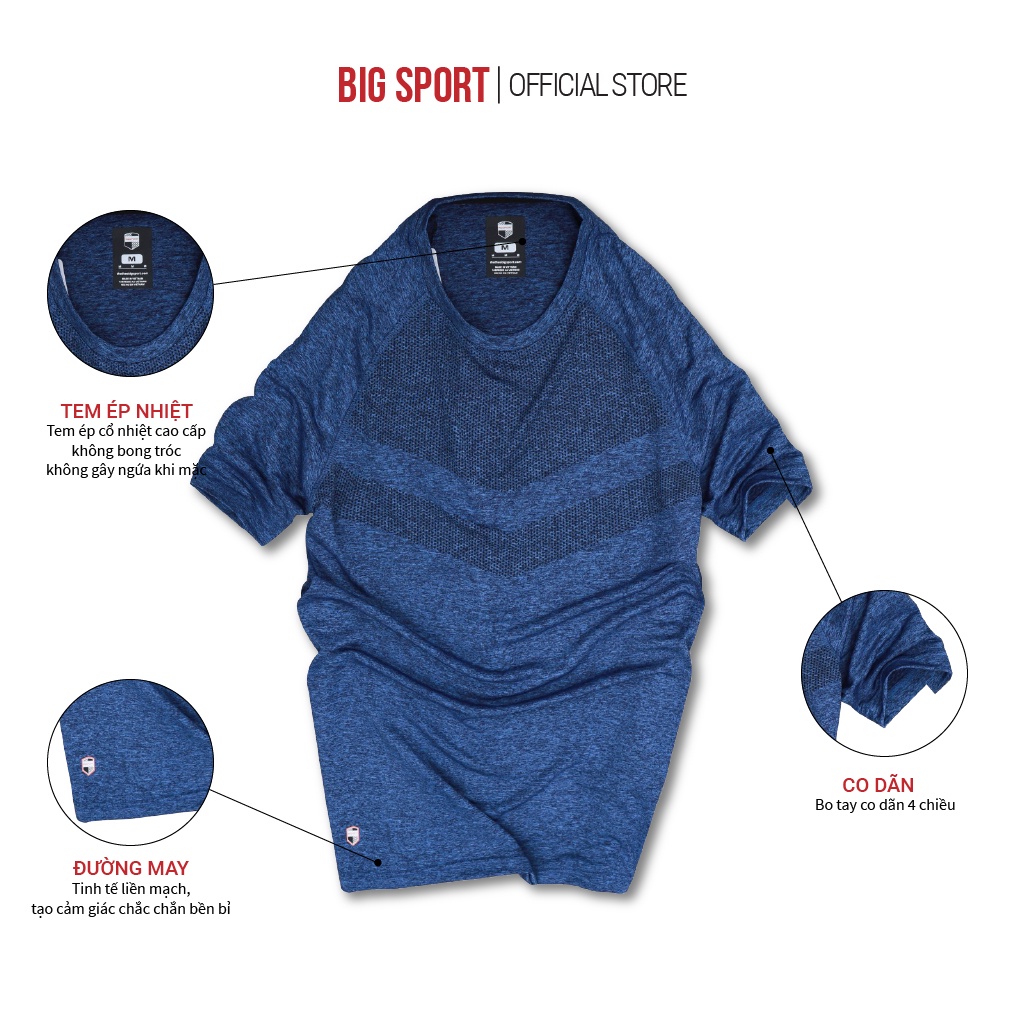 Áo Phông Thể Thao Tập Gym Vải Thun Cao Cấp Mặc Ở Nhà  Co Giãn 4 Chiều Thấm Hút Mồ Hôi-  Bigsport BS08