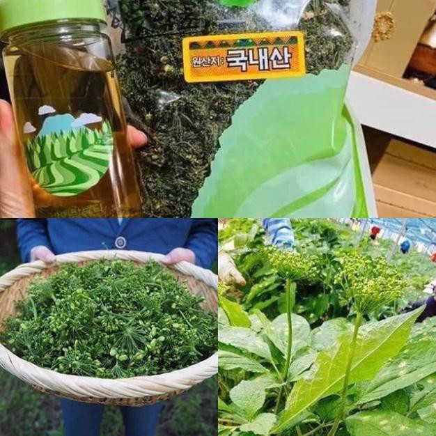 [ Túi 500gr ] Trà Hoa Sâm Cao Cấp Hàn Quốc
