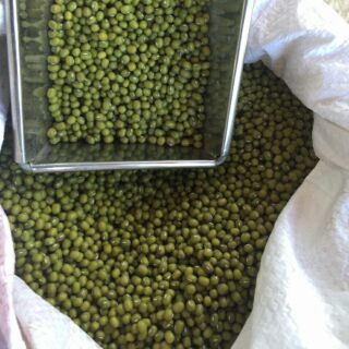 [FREESHIP TỪ 99K] Đỗ xanh quê 1kg