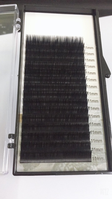 Thanh lý lô hàng mi khay hàng đẹp giá tốt | BigBuy360 - bigbuy360.vn