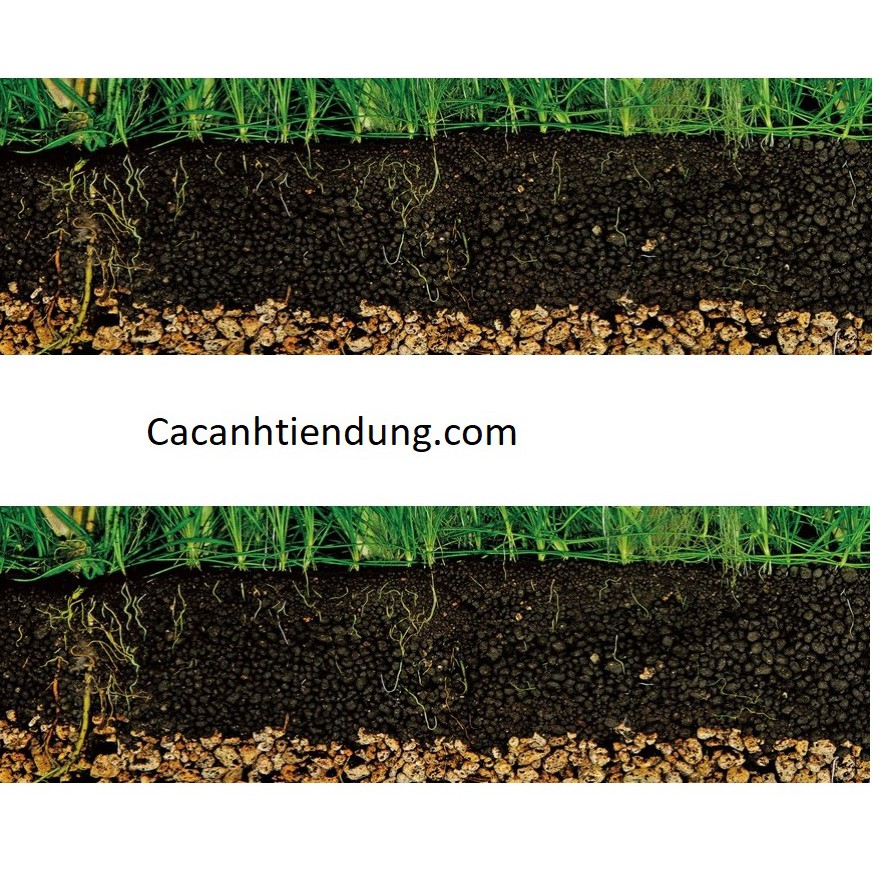 Phân nền S MêKông Phân cho cây thủy sinh giàu dinh giưỡng