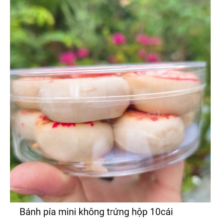 Bánh pía mini Phan Tâm hộp 10 cái