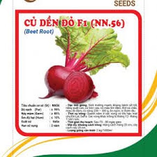 HẠT GIỐNG CỦ DỀN ĐỎ F1 GÓI 10GRAM