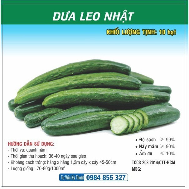 Hạt giống Dưa Leo Nhật TN