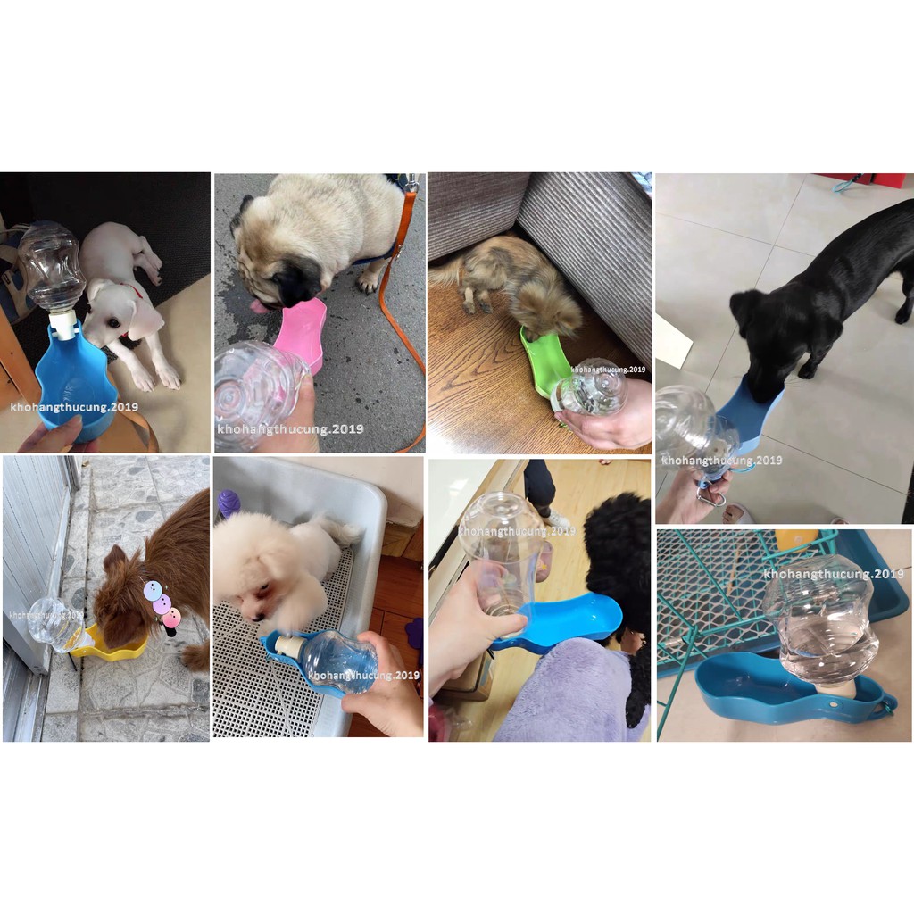 BÌNH NƯỚC CHO PET- ĐEM THEO DU LỊCH TIỆN DỤNG