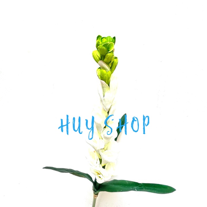 Hoa giả trang trí -  Cành Hoa HUỆ TRẮNG 1 nhánh