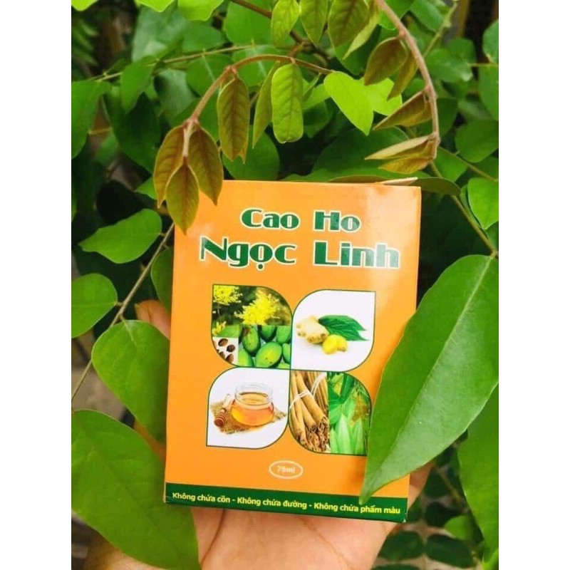 Cao ho Ngọc Linh- Cao lỏng dạng siro ho /75ml