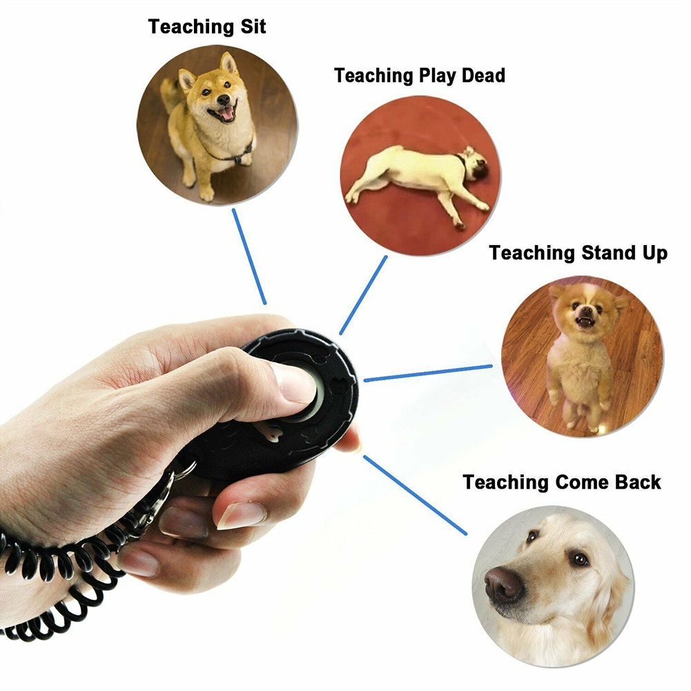 Dụng Cụ Huấn Luyện Chó Hình Oval