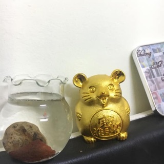 Chuột vàng tiết kiệm 2 con