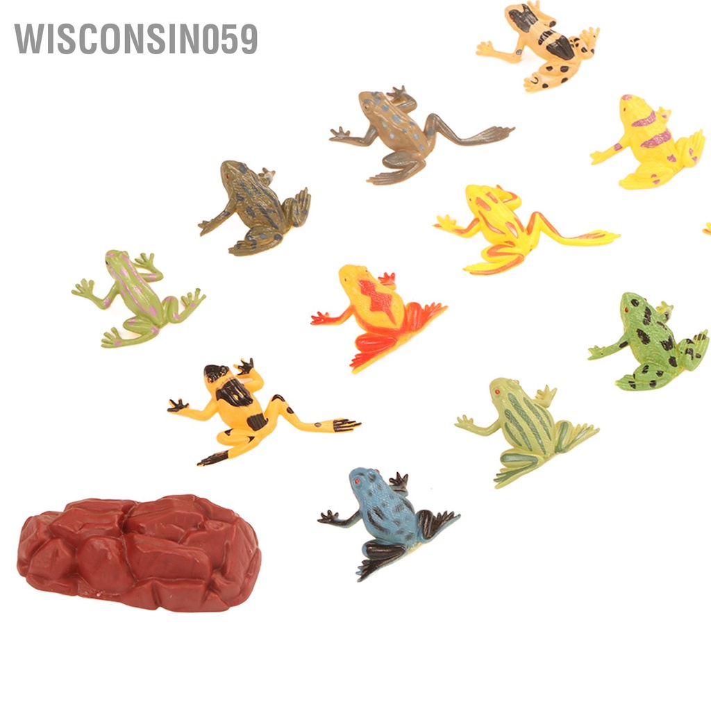 Wisconsin059 12 CÁI PVC Ếch Mô hình Bộ trang trí đồ chơi dạy học lưỡng cư với cỏ giả và đá